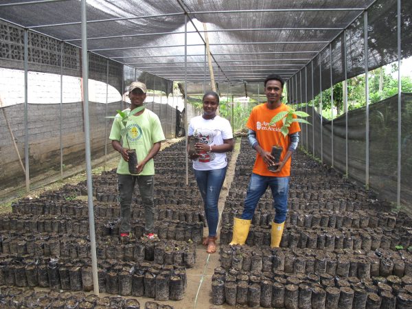 Productores/as de cacao en APROCANE y UOPROCAE