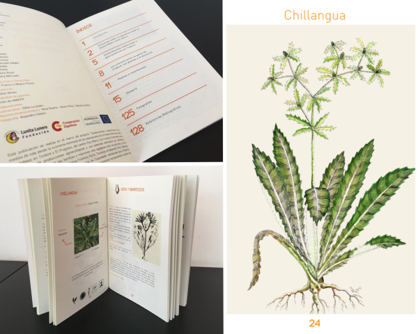 Manual de plantas de uso medicinal y condimentario