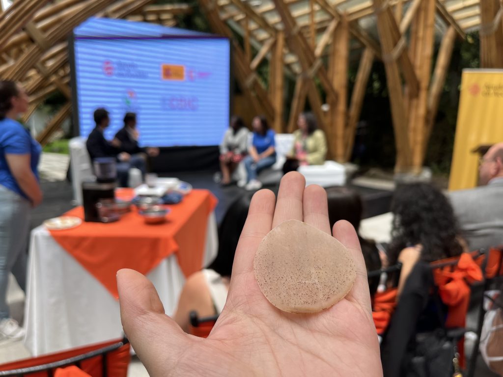 Ayuda en Acción Ecuador