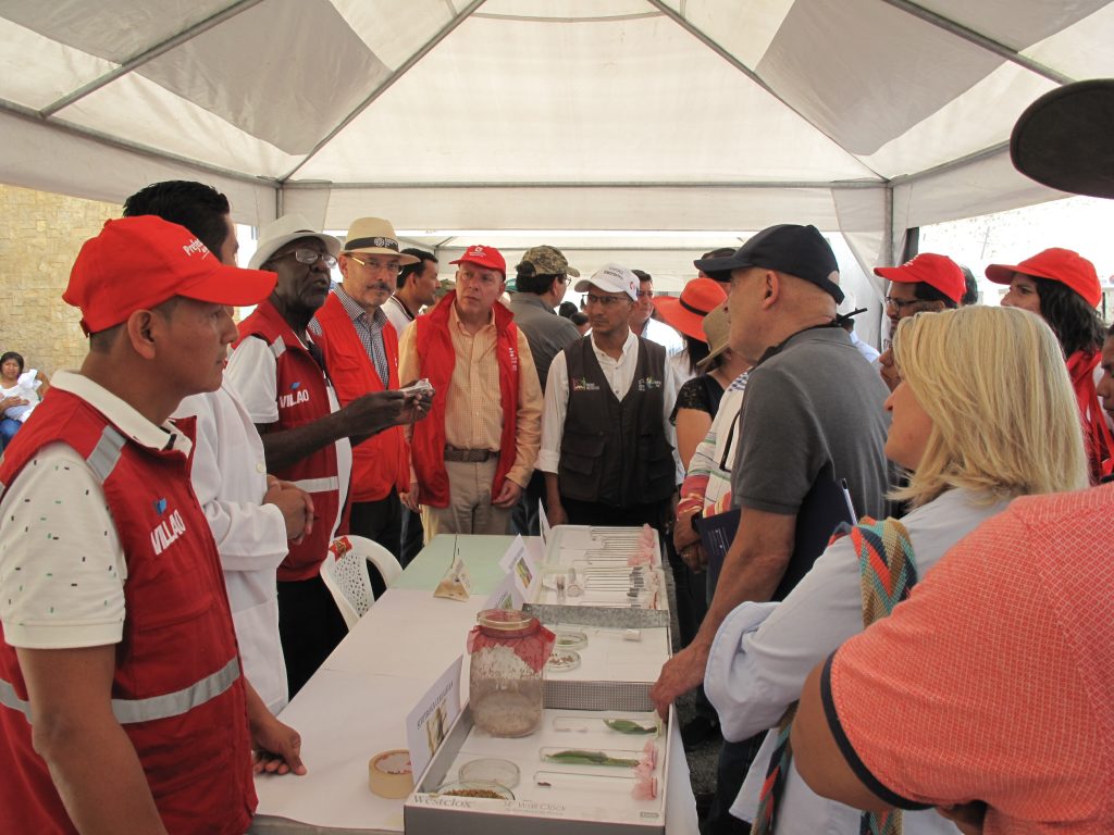 Mostrando el laboratorio del control biológico de plagas