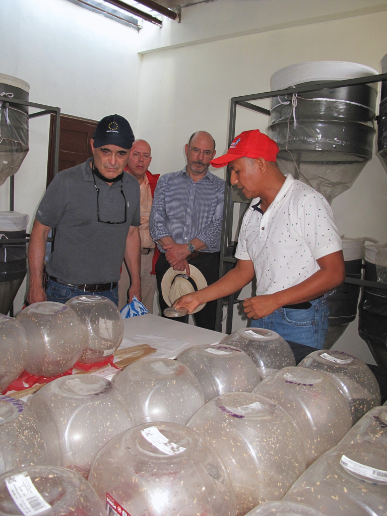 Laboratorio para el control biológico de plagas