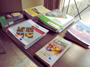 Muestra de los proyectos publicados