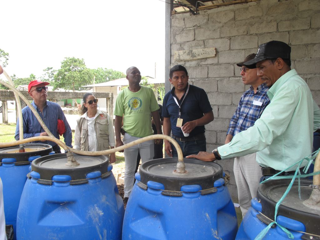 Mostración con el personal