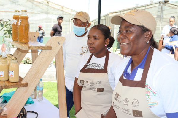 Productores de papa y camote expusieron sus productos en la feria de exhibición y presentación de resultados del proyecto agroecológico financiado por la Agencia Española de Cooperación Internacional para el Desarrollo (AECID) y la Unión Europea, Programa Frontera Norte.